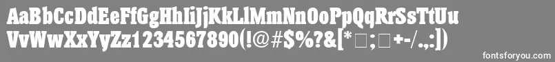 AnatoleDisplaySsi Font – White Fonts on Gray Background