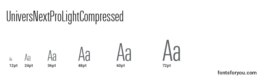 UniversNextProLightCompressed Font Sizes