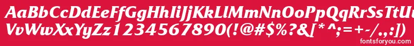 FrizquadratagttBolditalic Font – White Fonts on Red Background