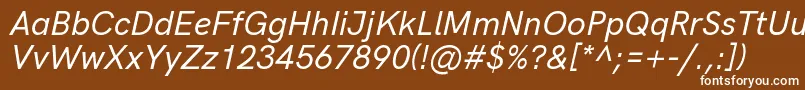 HkgroteskMediumitalic Font – White Fonts on Brown Background