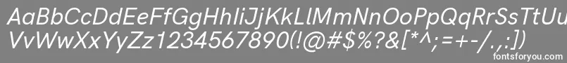 HkgroteskMediumitalic Font – White Fonts on Gray Background