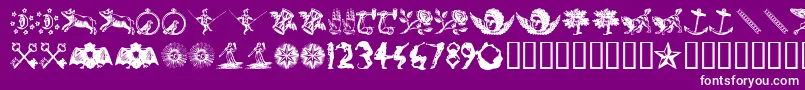 Infid Font – White Fonts on Purple Background