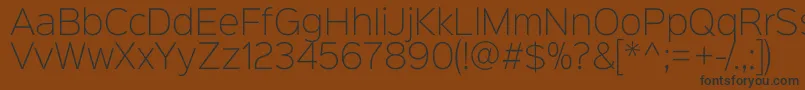Sinkinsans200xlight Font – Black Fonts on Brown Background