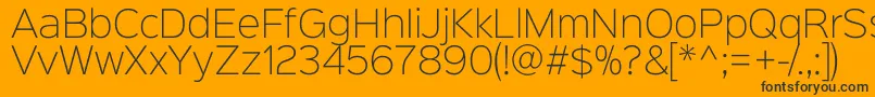 Sinkinsans200xlight Font – Black Fonts on Orange Background