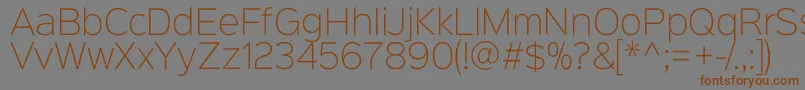 Sinkinsans200xlight Font – Brown Fonts on Gray Background