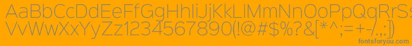 Sinkinsans200xlight Font – Gray Fonts on Orange Background