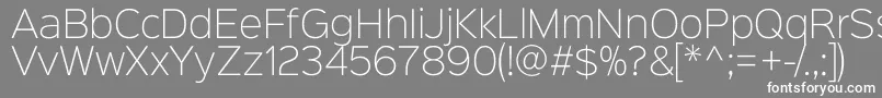 Sinkinsans200xlight Font – White Fonts on Gray Background