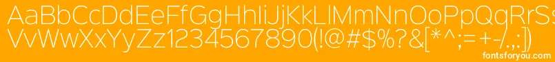 フォントSinkinsans200xlight – オレンジの背景に白い文字