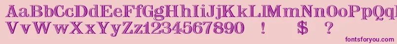 Nauertwd Font – Purple Fonts on Pink Background