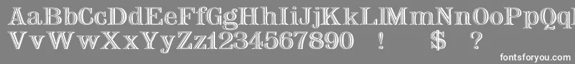 Nauertwd Font – White Fonts on Gray Background