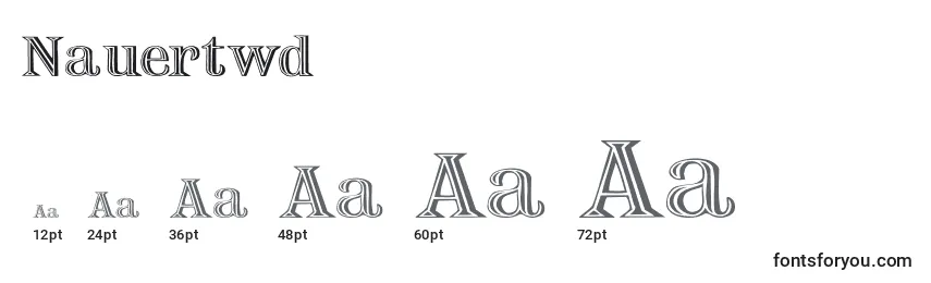 Nauertwd Font Sizes
