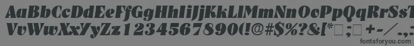 GlenysDisplaySsiItalic Font – Black Fonts on Gray Background