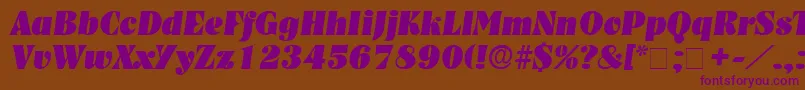 GlenysDisplaySsiItalic Font – Purple Fonts on Brown Background