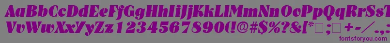 GlenysDisplaySsiItalic Font – Purple Fonts on Gray Background