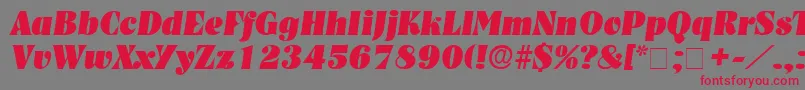 Czcionka GlenysDisplaySsiItalic – czerwone czcionki na szarym tle