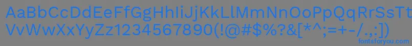 フォントWorksansRegular – 灰色の背景に青い文字