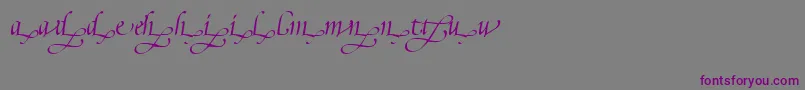 PoeticaSuppLowercaseEndingsIi Font – Purple Fonts on Gray Background