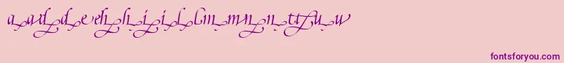 PoeticaSuppLowercaseEndingsIi Font – Purple Fonts on Pink Background