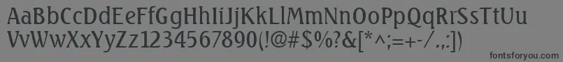 SeagulllhRegular Font – Black Fonts on Gray Background