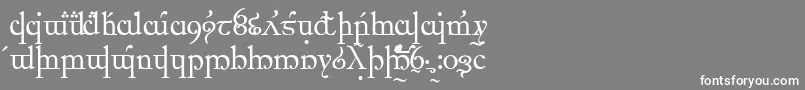 ElficCaslon Font – White Fonts on Gray Background