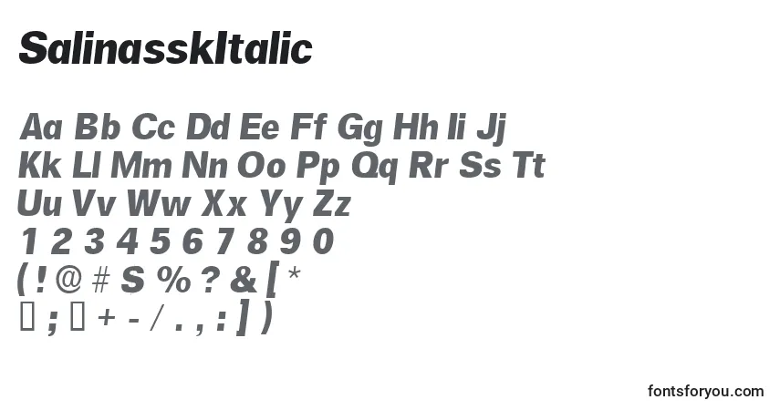 A fonte SalinasskItalic – alfabeto, números, caracteres especiais
