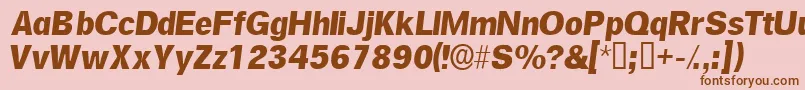 SalinasskItalic Font – Brown Fonts on Pink Background