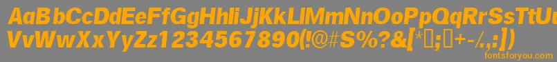 SalinasskItalicフォントについての詳細 フォントSalinasskItalic – オレンジの文字は灰色の背景にあります。