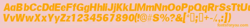 SalinasskItalic Font – Orange Fonts on Pink Background