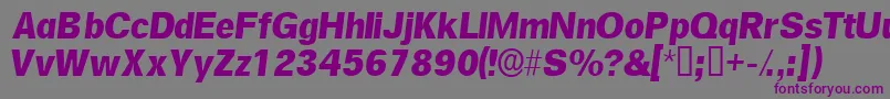 SalinasskItalic-Schriftart – Violette Schriften auf grauem Hintergrund