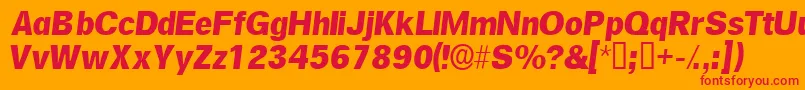SalinasskItalic Font – Red Fonts on Orange Background