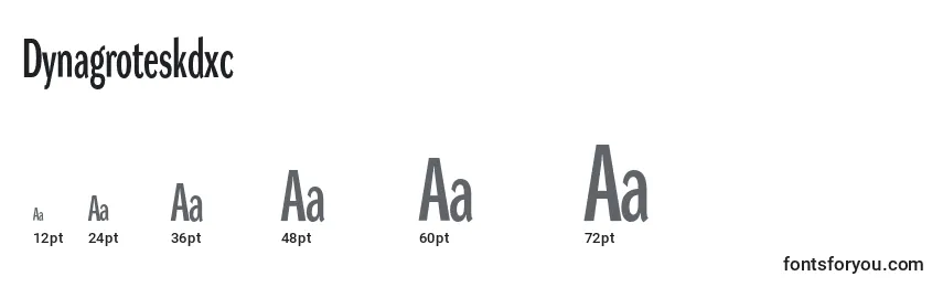 Размеры шрифта Dynagroteskdxc
