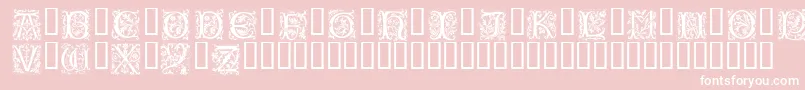 PetitfleurLight Font – White Fonts on Pink Background