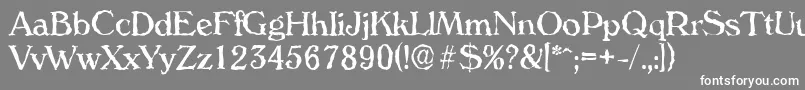 VeronarandomRegular Font – White Fonts on Gray Background