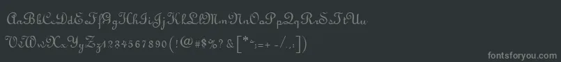 フォントLyranoRegular – 黒い背景に灰色の文字