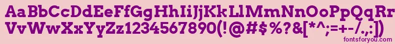 ArvoBold Font – Purple Fonts on Pink Background