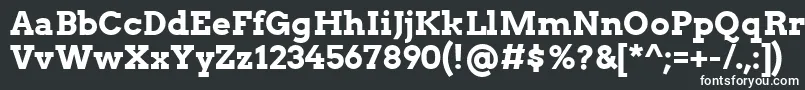 フォントArvoBold – 白い文字