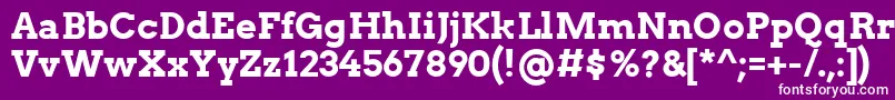 フォントArvoBold – 紫の背景に白い文字