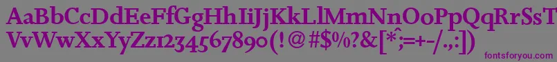 フォントJosieDemiRegular – 紫色のフォント、灰色の背景