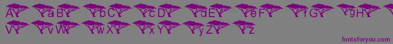 フォントLmsUnderAnAcaciaTree – 紫色のフォント、灰色の背景