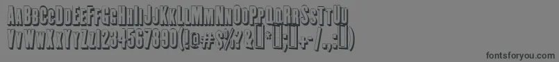 EngeholzschriftShadow Font – Black Fonts on Gray Background