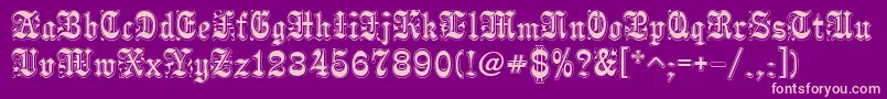 Pamela Font – Pink Fonts on Purple Background