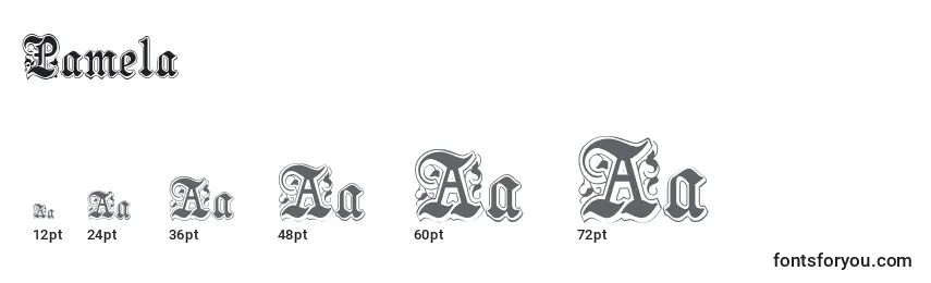 Größen der Schriftart Pamela