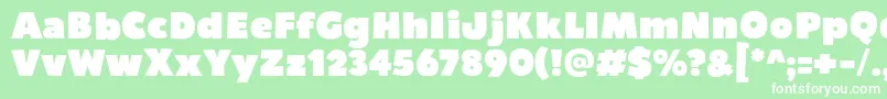 Bumpo Font – White Fonts on Green Background