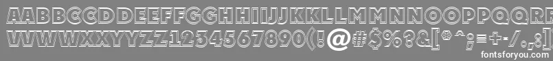 フォントPlakattitul2otlExtrabold – 灰色の背景に白い文字