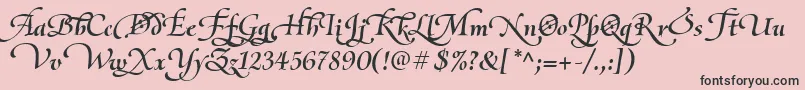 OliettaScriptLyricaBolditalic Font – Black Fonts on Pink Background