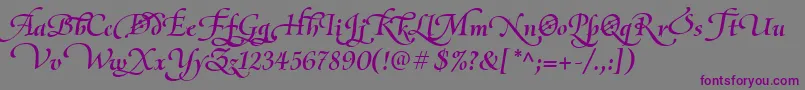 OliettaScriptLyricaBolditalic Font – Purple Fonts on Gray Background