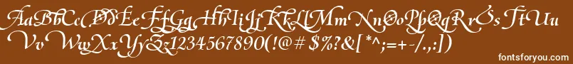 OliettaScriptLyricaBolditalic Font – White Fonts on Brown Background