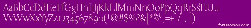 SlabroundserifLight Font – Pink Fonts on Purple Background