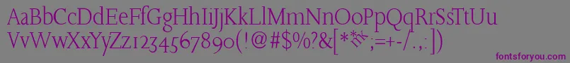 SlabroundserifLight Font – Purple Fonts on Gray Background