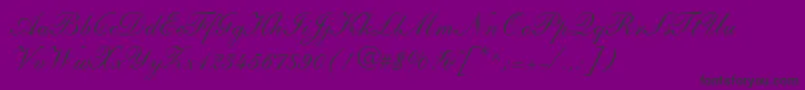Fonte ShelleyLtAndanteScript – fontes pretas em um fundo violeta